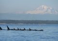 How to find waterside bliss in Washington state this summer