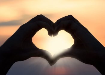 Looking for Love, by Annie Lane