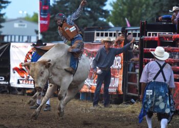Canceled last year, the Kane County Fair returns with all the fan favorites