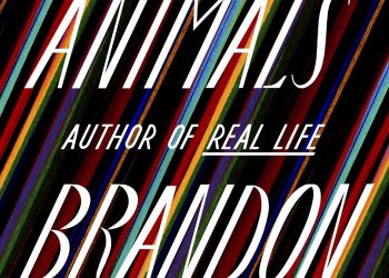 Book review: Brandon Taylor’s connected short stories star beautiful messes