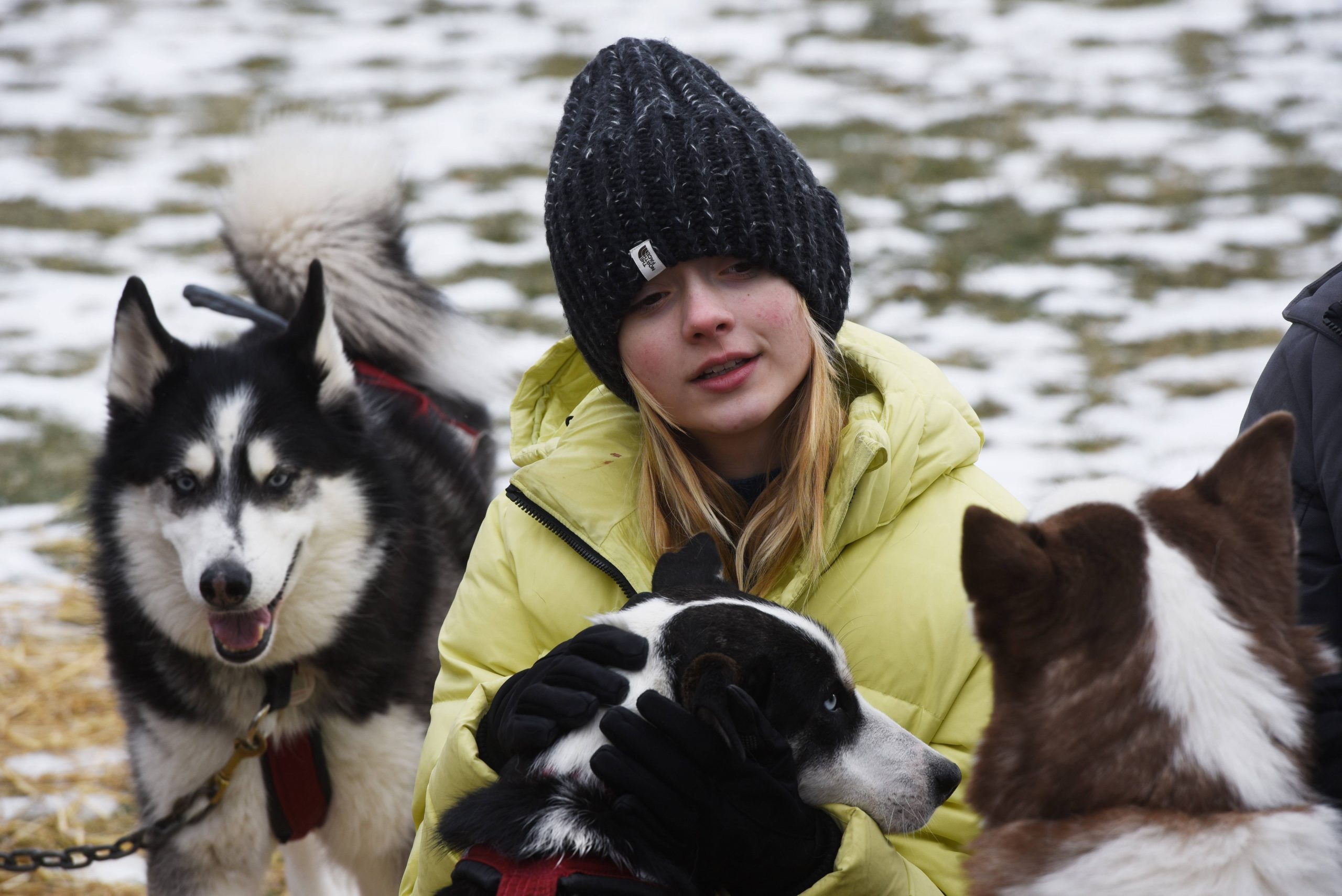Sled dogs and s’mores draw visitors to Winterfest in Vernon Hills