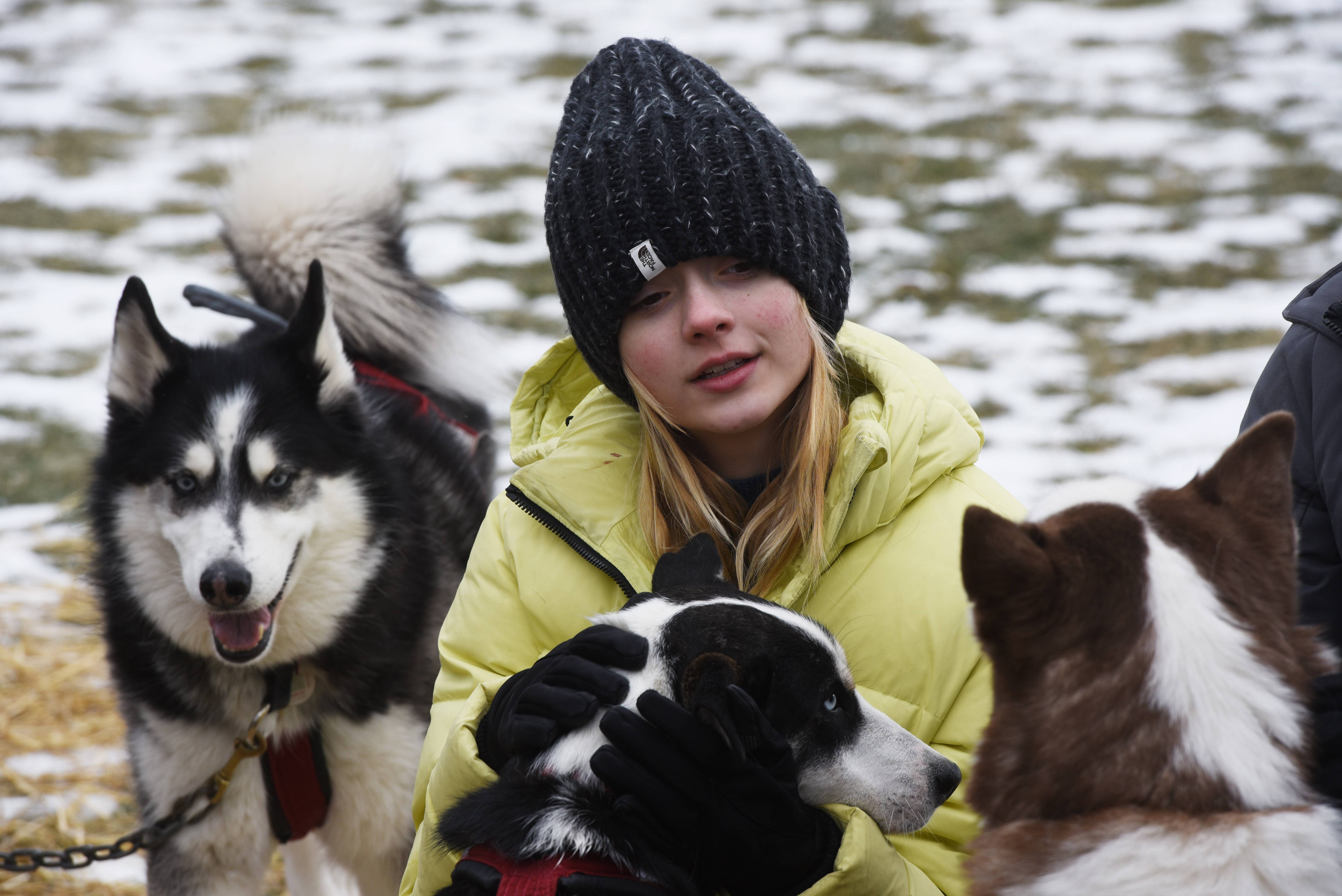 Kapri Gray, 13, of Vernon Hills pets sled dogs during Winterfest at Century Park Arboretum in Vernon Hills Saturday.