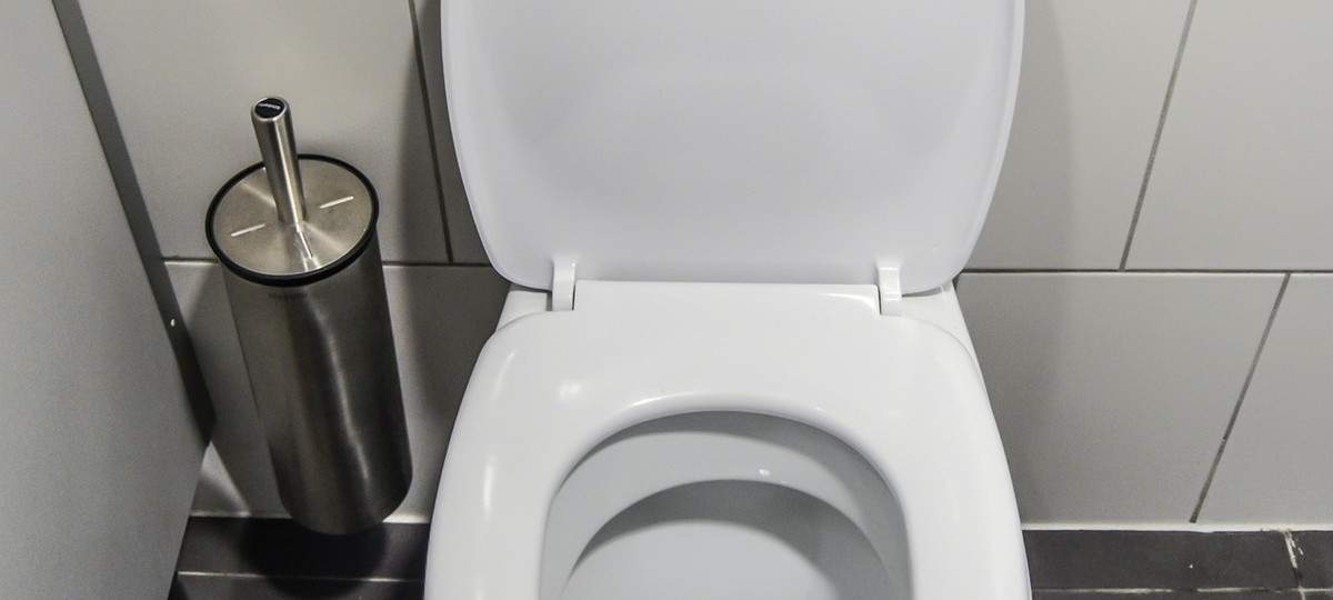How to Unclog a Toilet — Quick and Easy!, by Mary Hunt