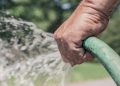 My Dad Drinks Water From the Garden Hose, by Dr. Robert Wallace
