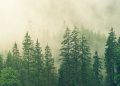 12 Ways to Simplify Your Life, by Mary Hunt