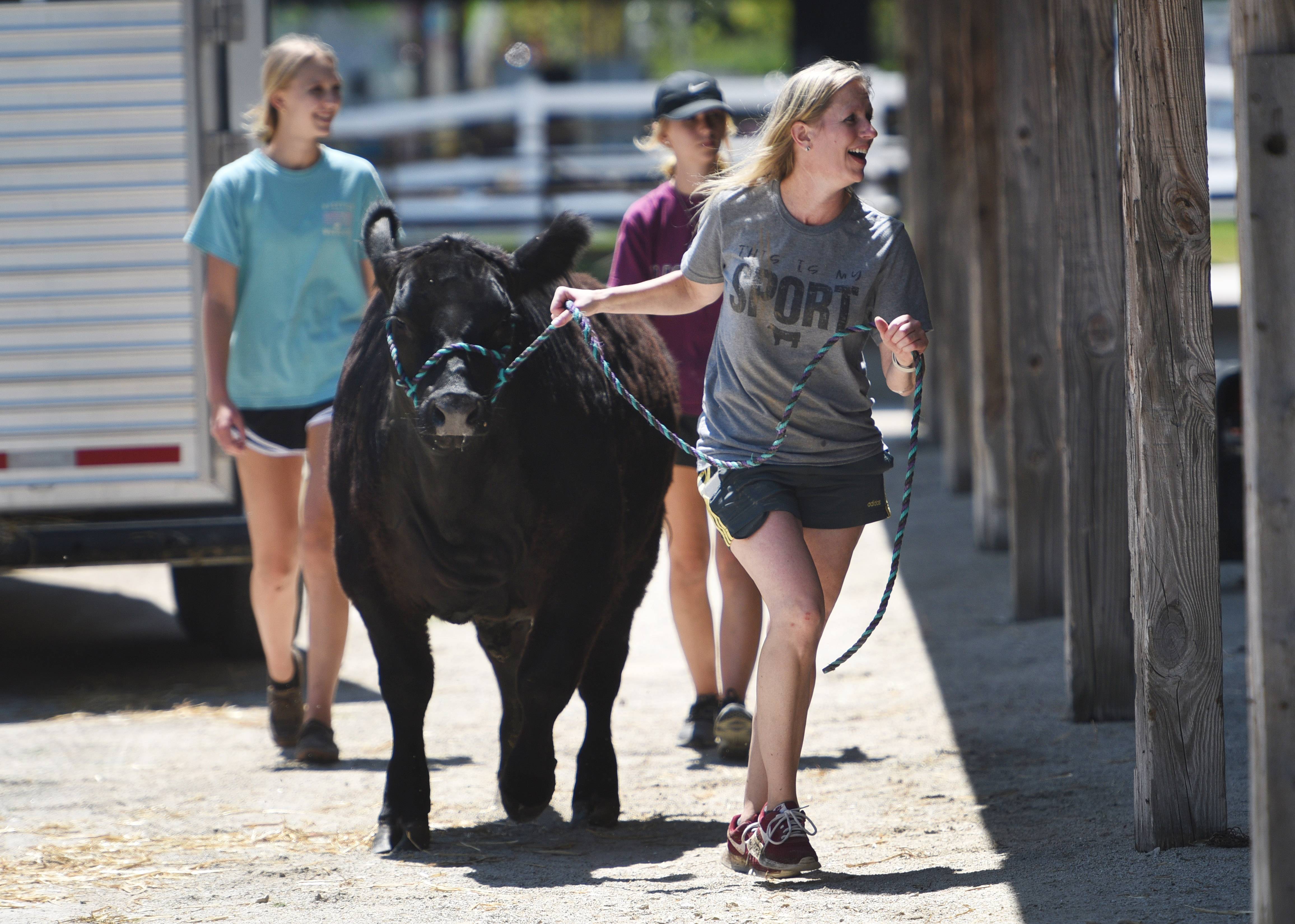 Monica Block, right, of Sycamore moves a steer Tuesday with her daughters, Madyson Block, left, and Jordyn Block at the Kane County fair in St. Charles. The girls will be competing in FFA and 4-H with their Fidler Farms animals.