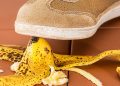 A Nose for Trip Insurance, by Tracy Beckerman