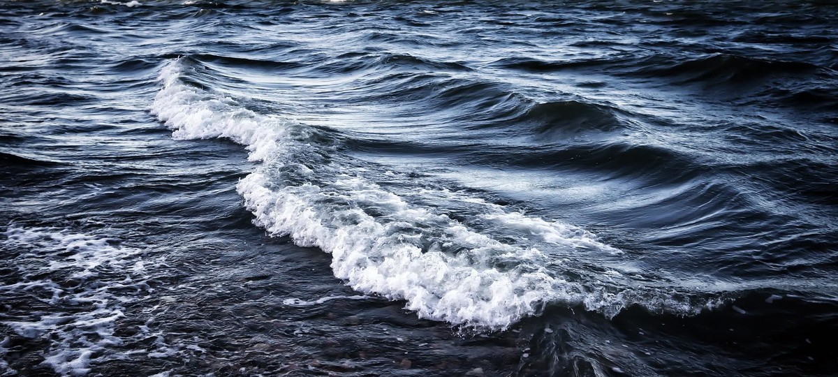 Hitting Rough Seas on a Friendly Cruise, by Annie Lane