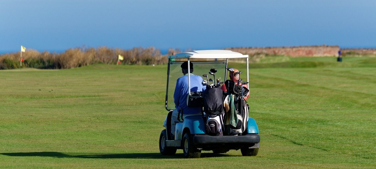 The Importance of Hobbies, by Marilyn Murray Willison