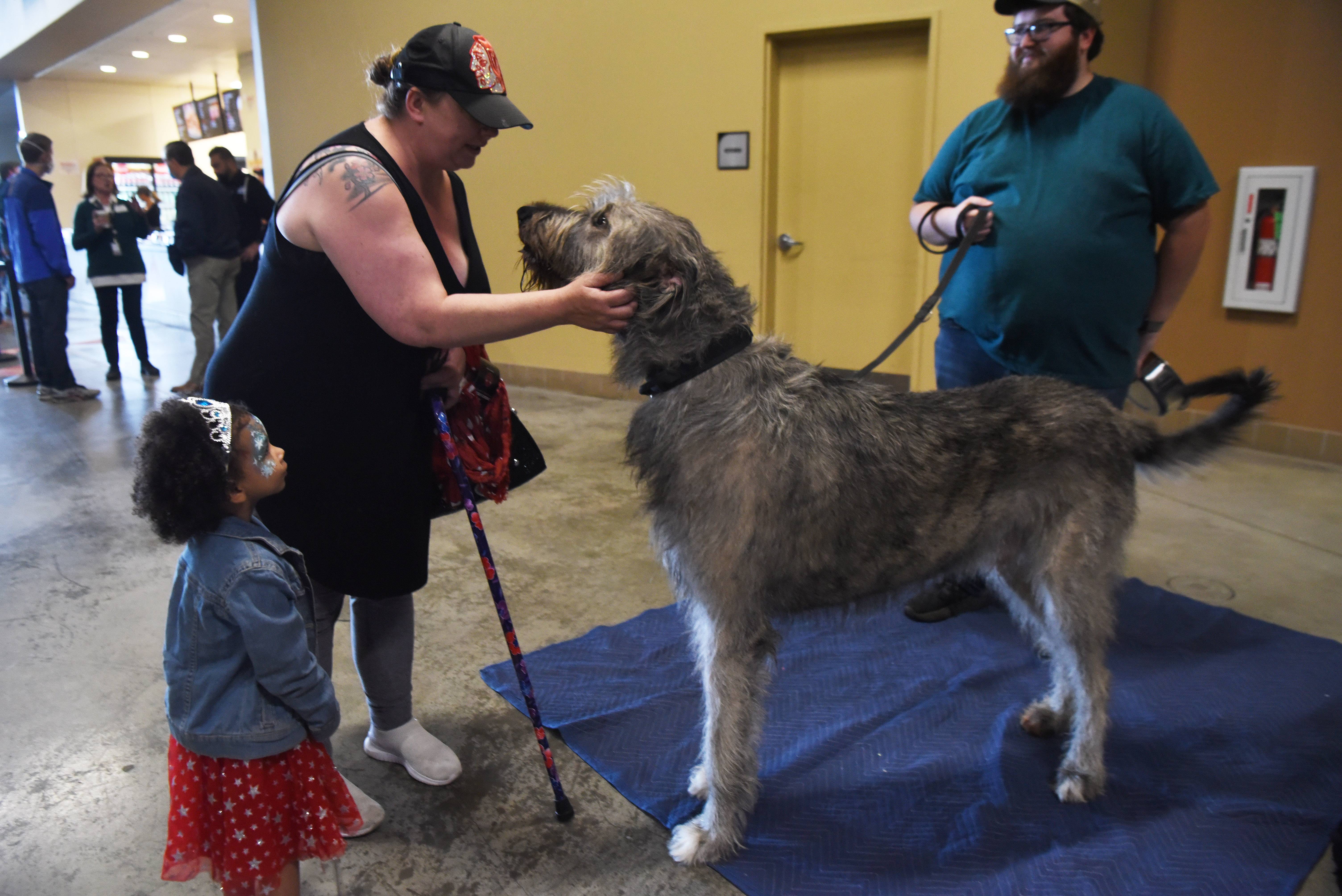 Jenni Sutton of Elgin and her daughter, Jocelynn, 3, greet Barney, an Irish Wolfhound belonging to Scott Mitchell of Frankfort and Great Lakes Irish wolfhound, during the Northwest Celtic Fest at Now Arena in Hoffman Estates Saturday.
