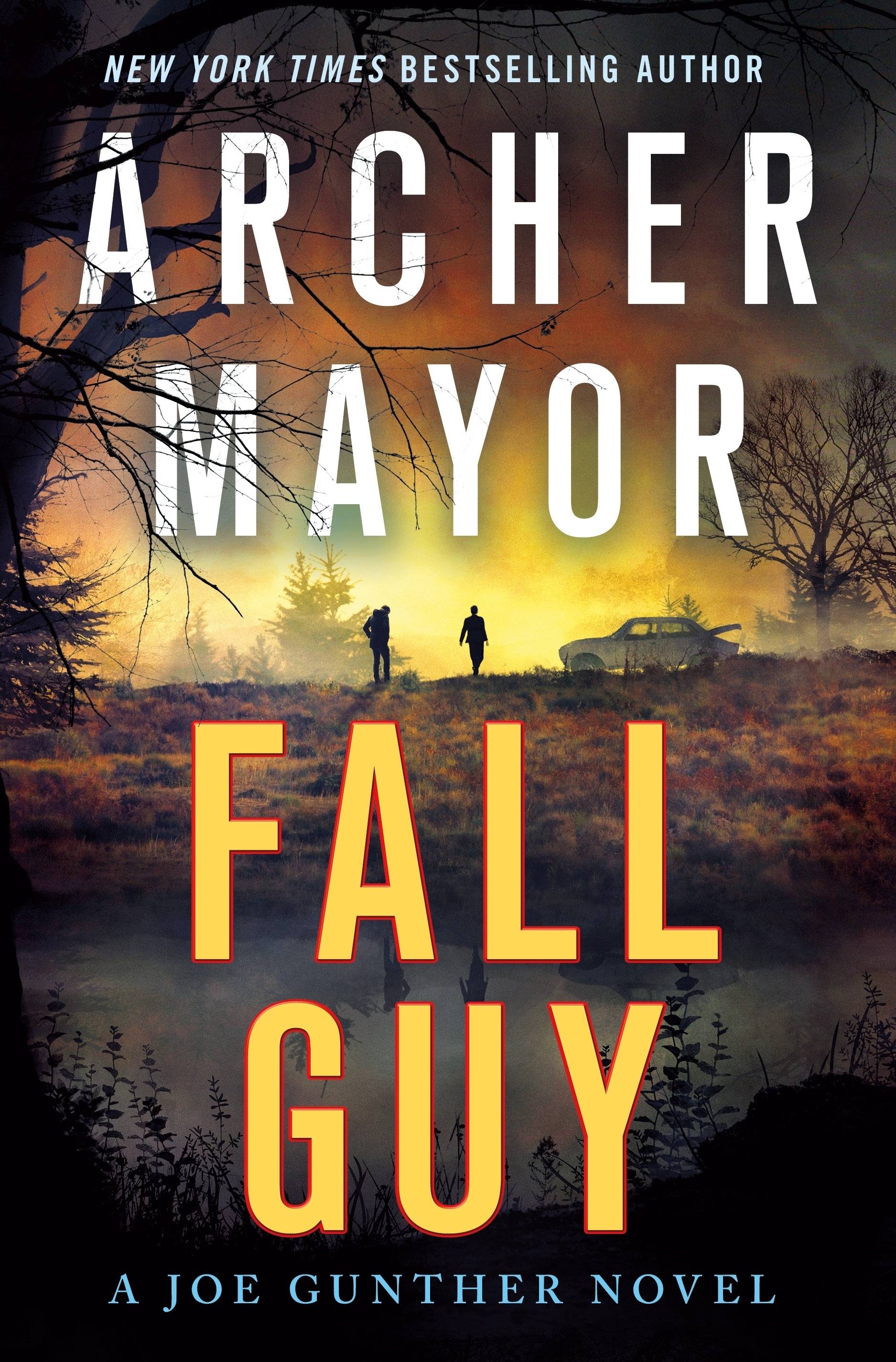 "Fall Guy" by Archer Mayor.