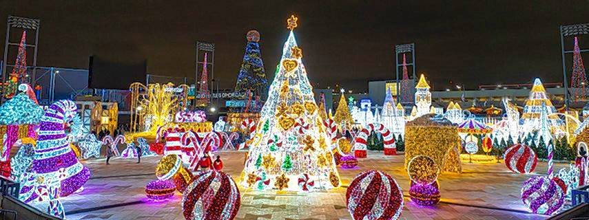 Best Bets: Holiday light shows shine bright across the suburbs