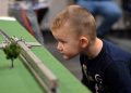 Turning out for trains: Hundreds take in exhibits at Roselle library