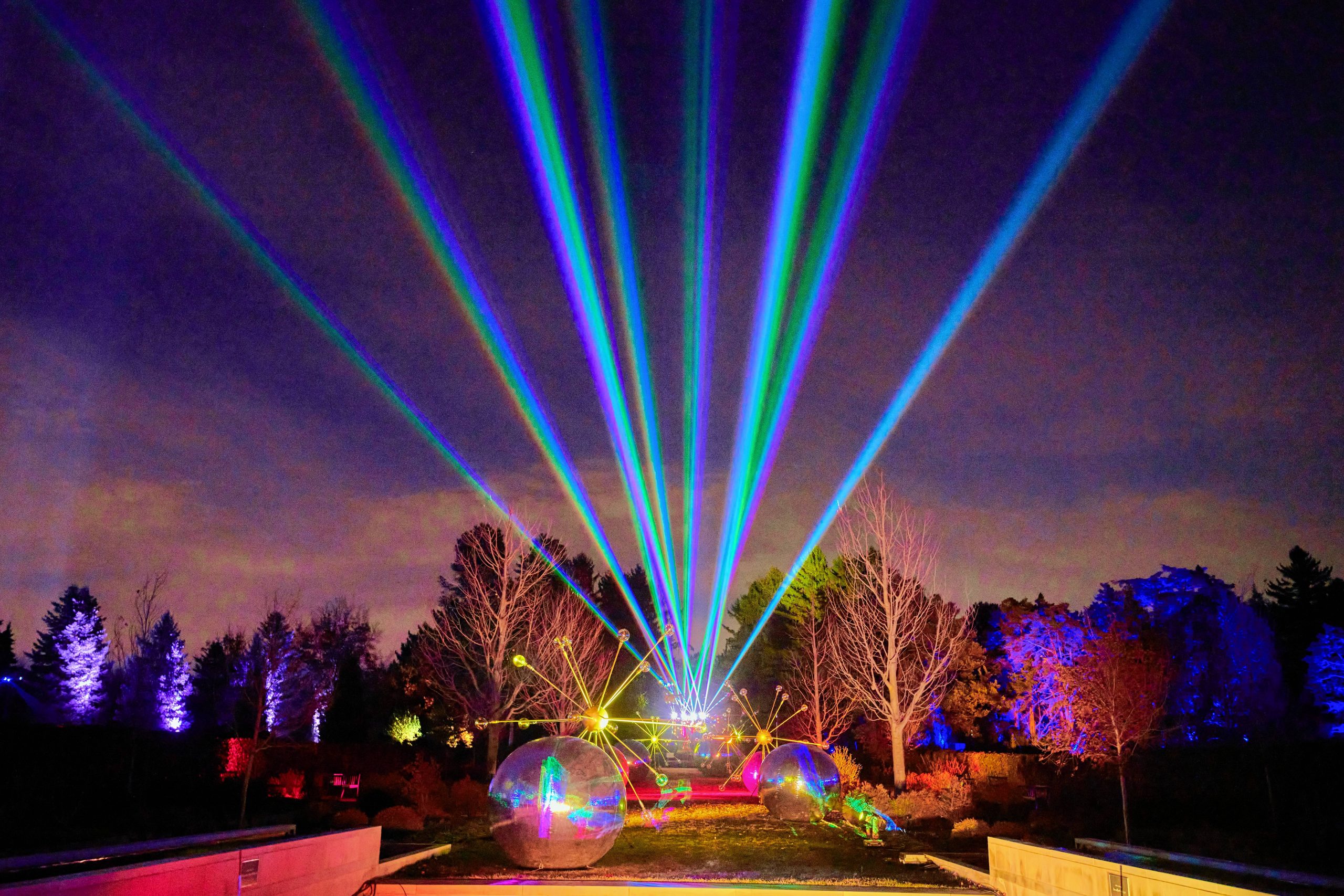 Usher in winter at a seasonal light show
