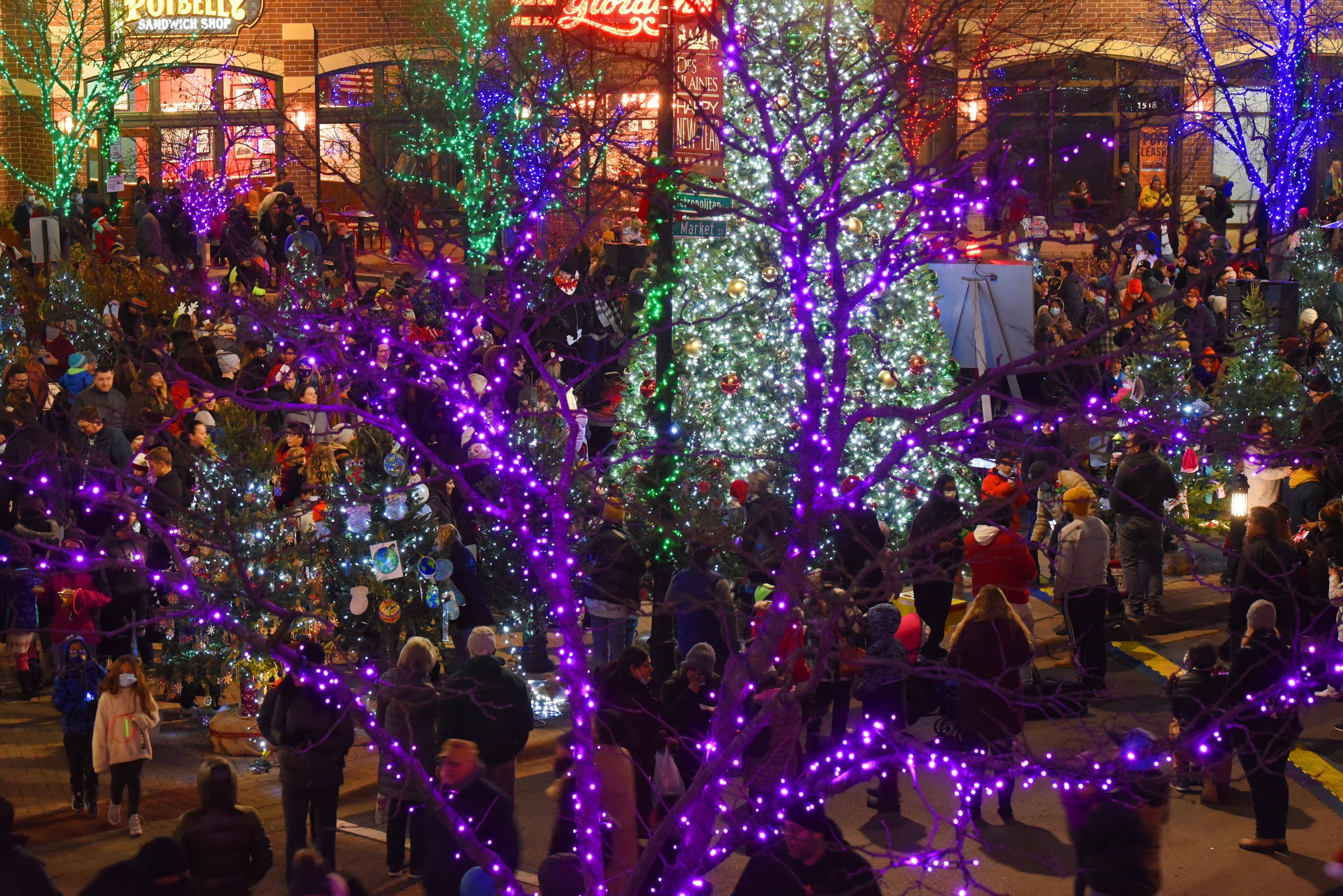 Metropolitan Square in downtown Des Plaines shines brightly at last year's holiday tree lighting.
