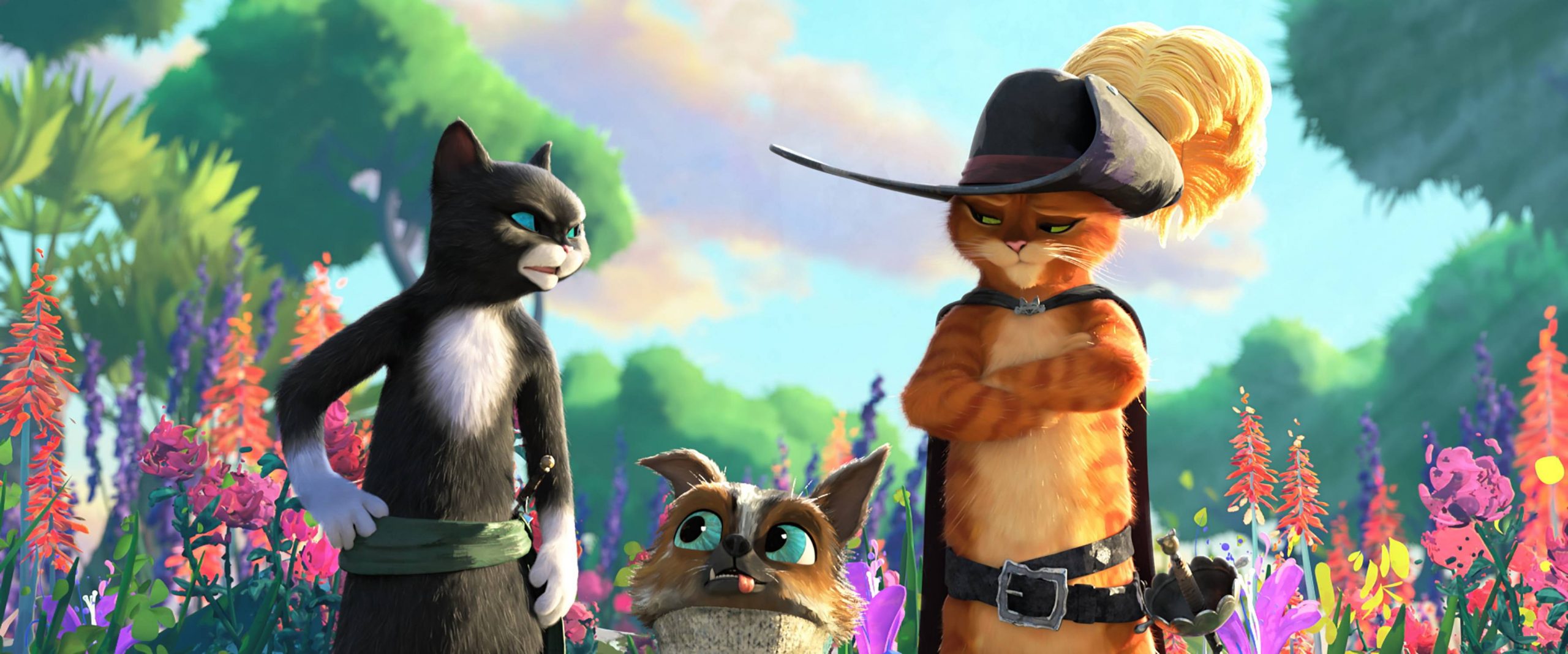 Perfectly pitched ‘Puss’ has boots for walking away with your heart