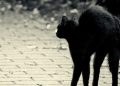 Blame Friday the 13th, by Holiday Mathis