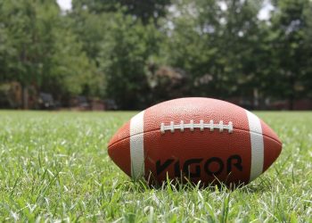 All’s Fair in Love and Sports?, by Annie Lane