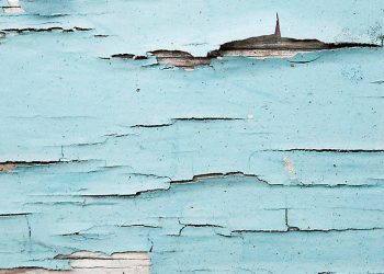 January 11, 2023, by Marcy Sugar and Kathy Mitchell