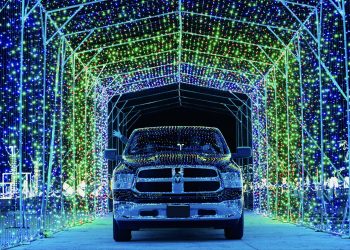 Things to do Jan. 6-12: Last chance to catch a seasonal light show