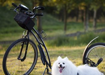 Wait Training at the Gym, by Tracy Beckerman
