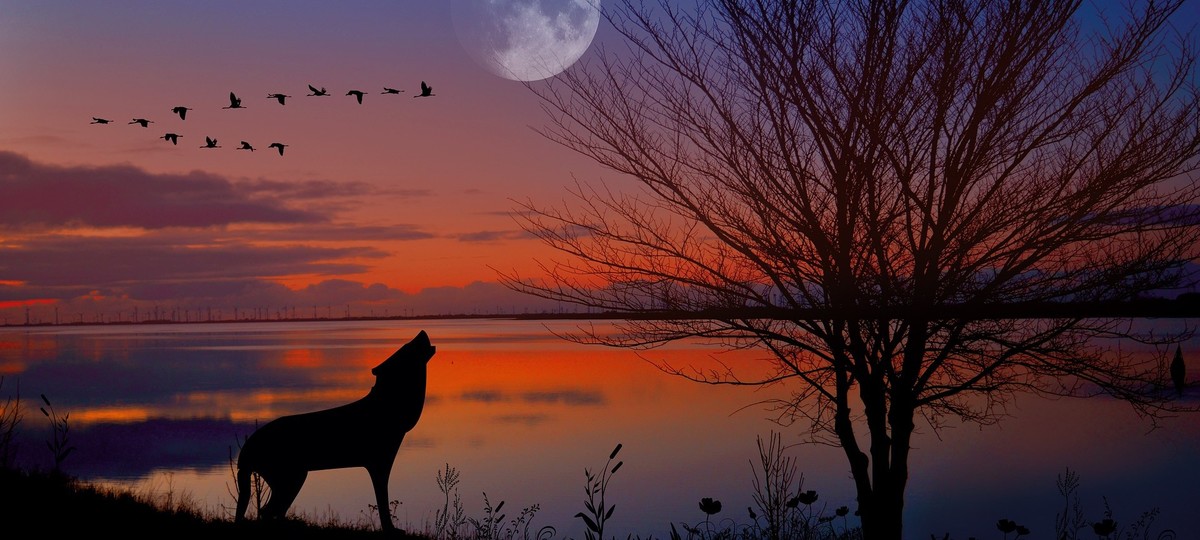 Countdown to Wolf Moon, by Holiday Mathis
